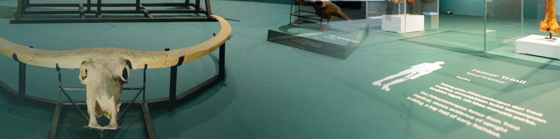 MUSEUM Balla Lompoa>